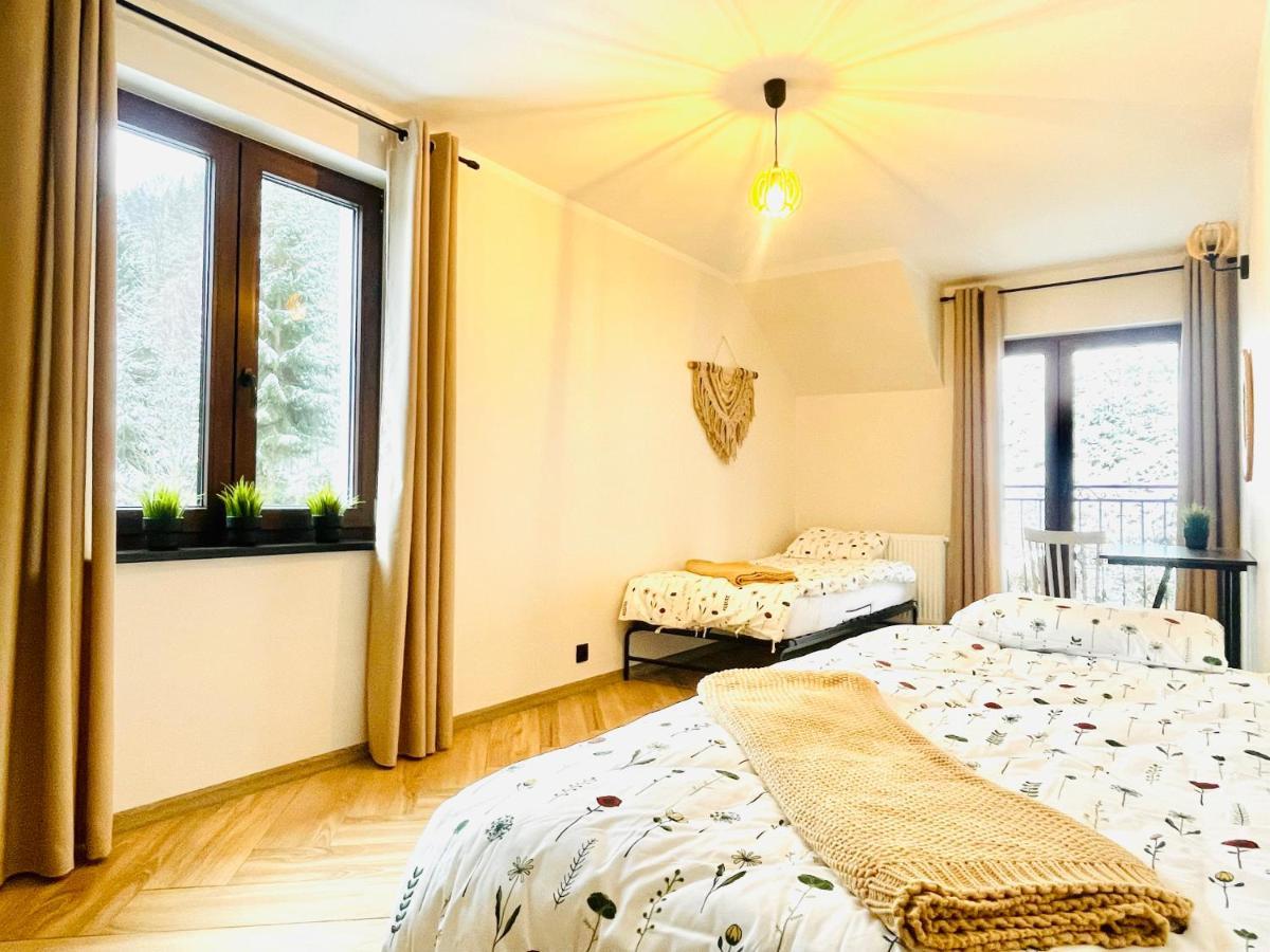 Gorska Cisza - Duzy, Komfortowy, Wyjatkowy Apartament Stronie Śląskie 外观 照片