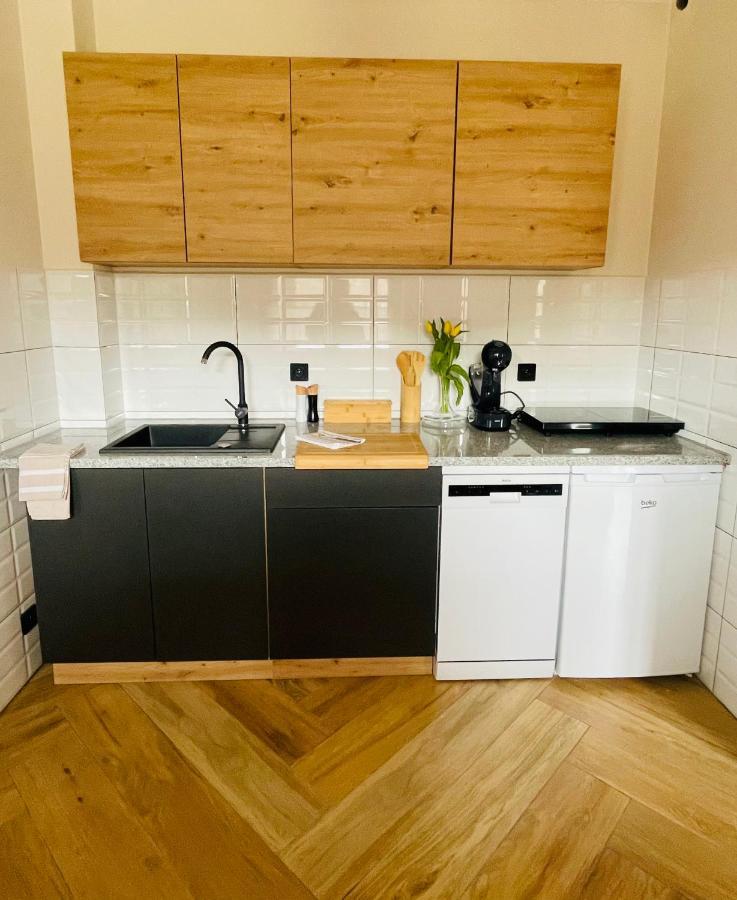 Gorska Cisza - Duzy, Komfortowy, Wyjatkowy Apartament Stronie Śląskie 外观 照片