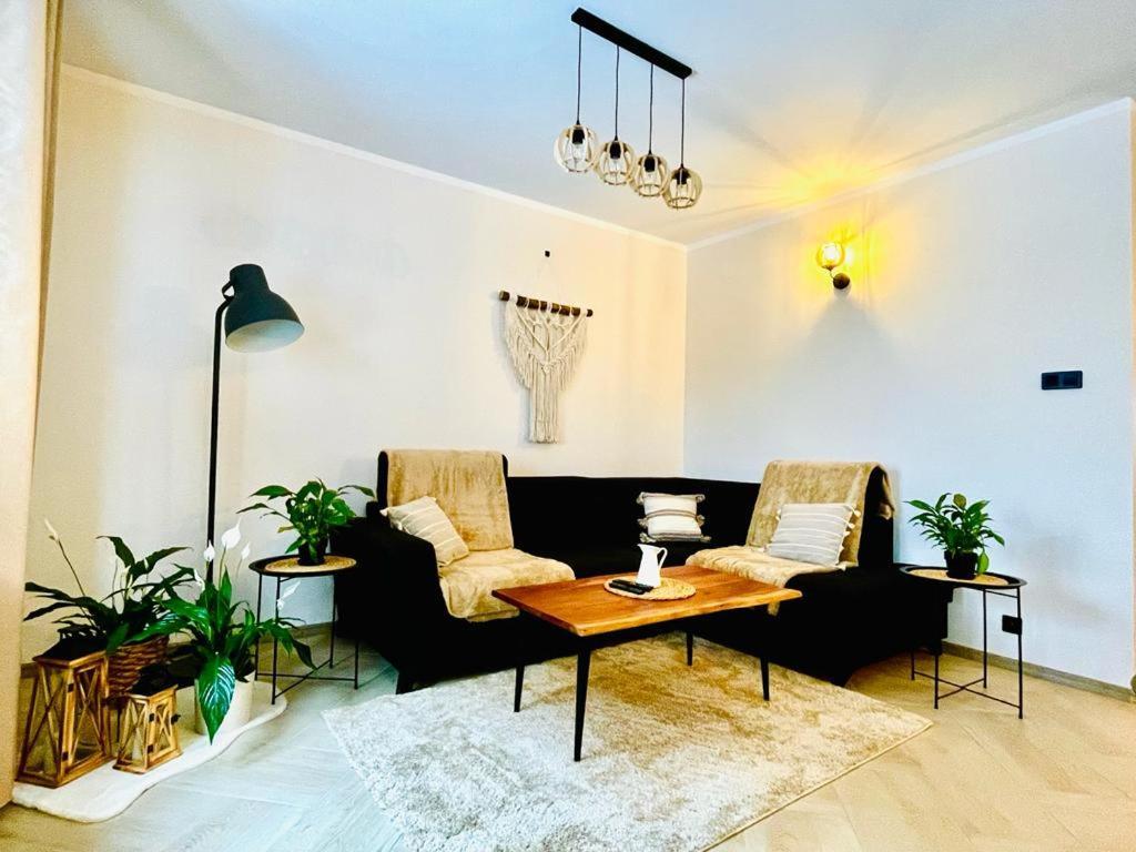 Gorska Cisza - Duzy, Komfortowy, Wyjatkowy Apartament Stronie Śląskie 外观 照片