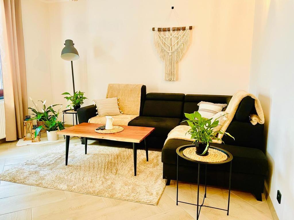 Gorska Cisza - Duzy, Komfortowy, Wyjatkowy Apartament Stronie Śląskie 外观 照片