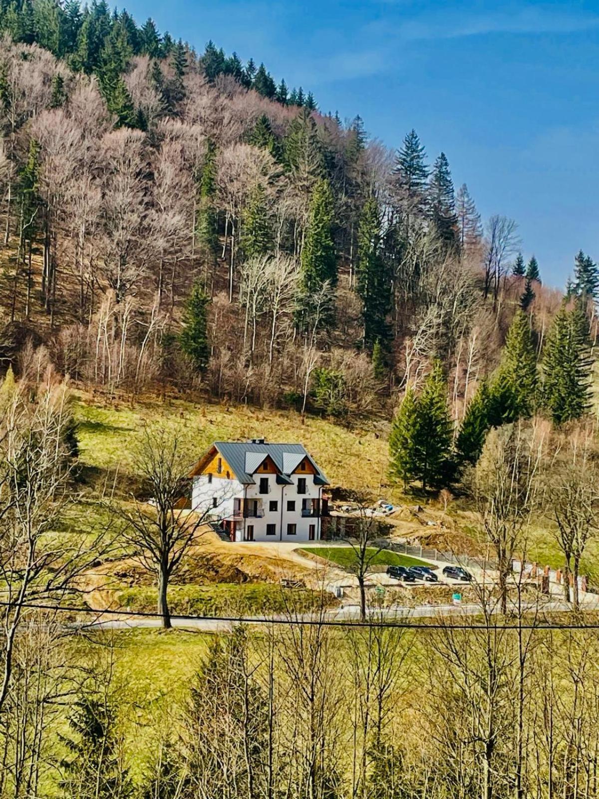 Gorska Cisza - Duzy, Komfortowy, Wyjatkowy Apartament Stronie Śląskie 外观 照片