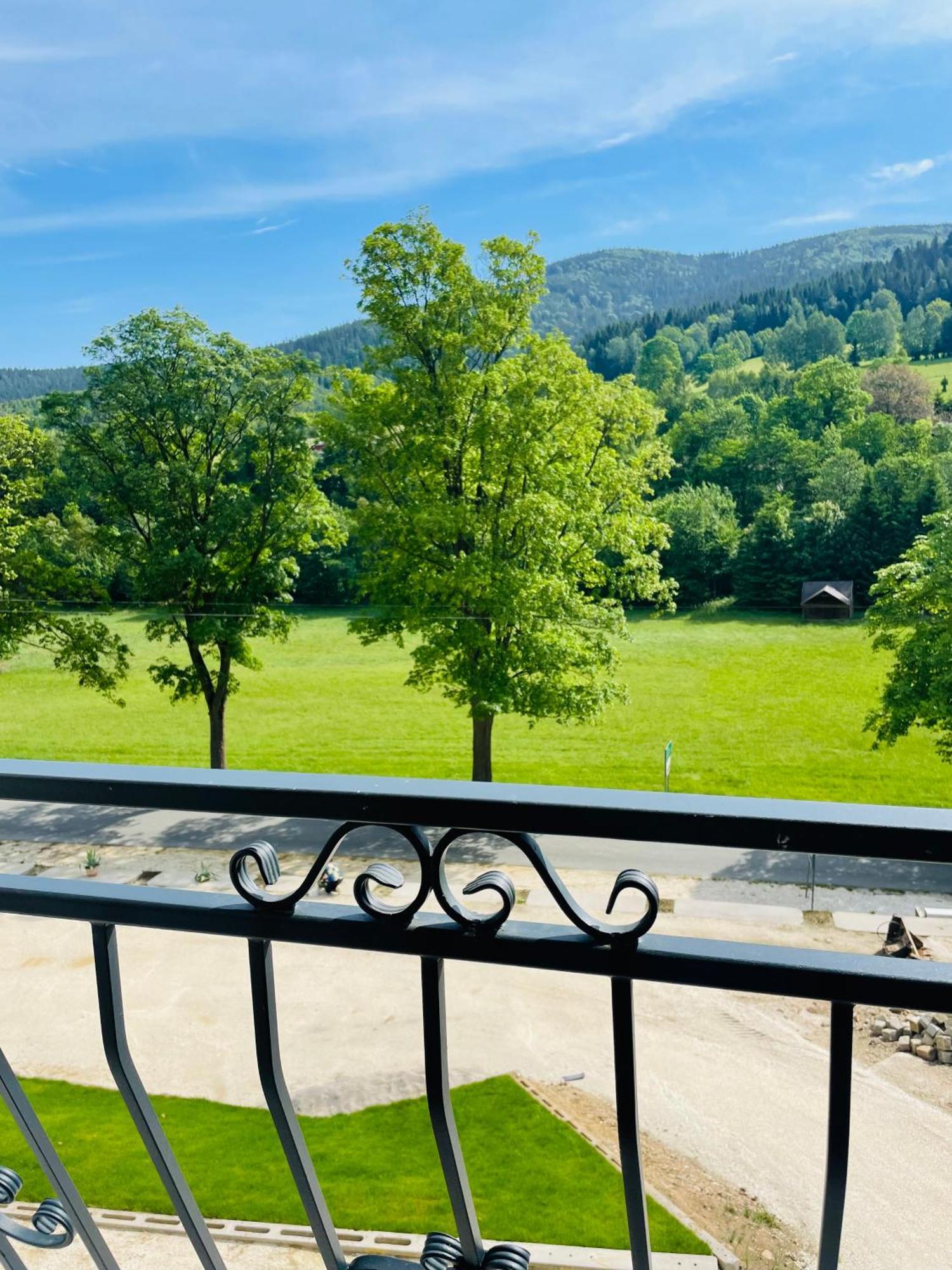 Gorska Cisza - Duzy, Komfortowy, Wyjatkowy Apartament Stronie Śląskie 外观 照片