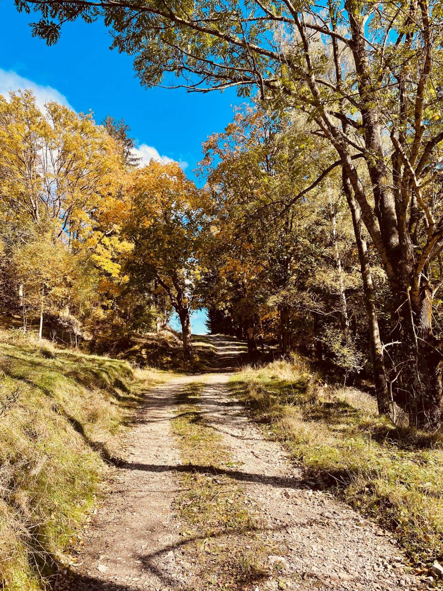 Gorska Cisza - Duzy, Komfortowy, Wyjatkowy Apartament Stronie Śląskie 外观 照片